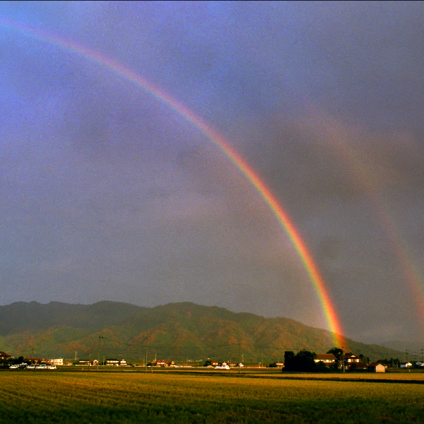 出雲平野虹の写真