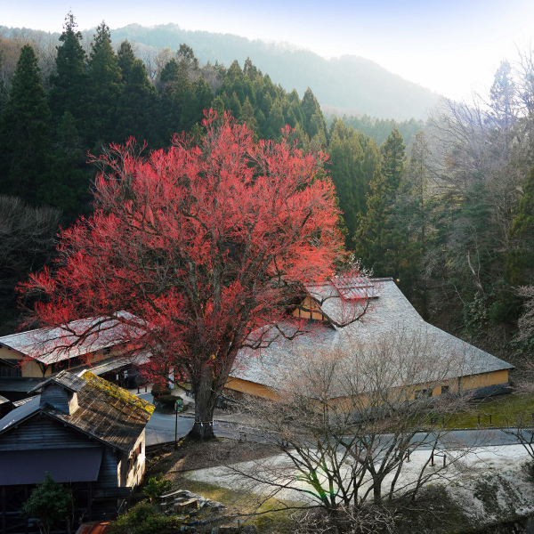 菅谷たたら山内の写真