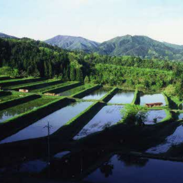 奥出雲町にある棚田の写真