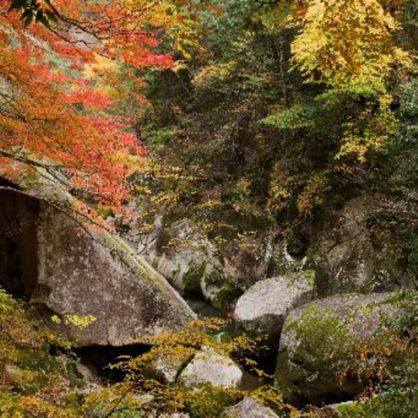 奥出雲にある河川の写真