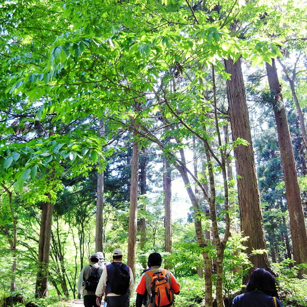 飯南町にある山を登山する人たちの写真